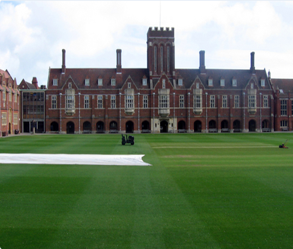 Programa internacional de verano